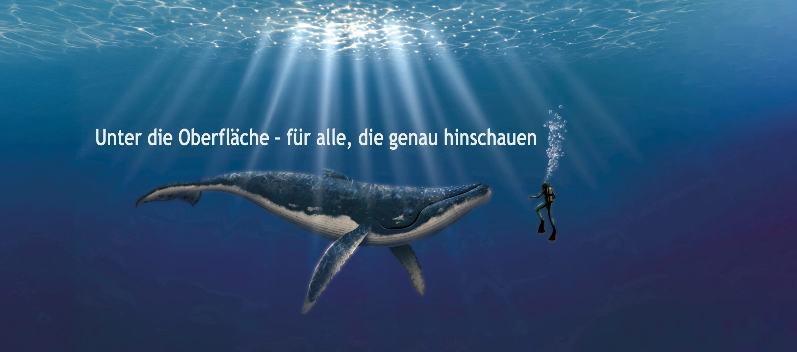 Wal mit Taucher