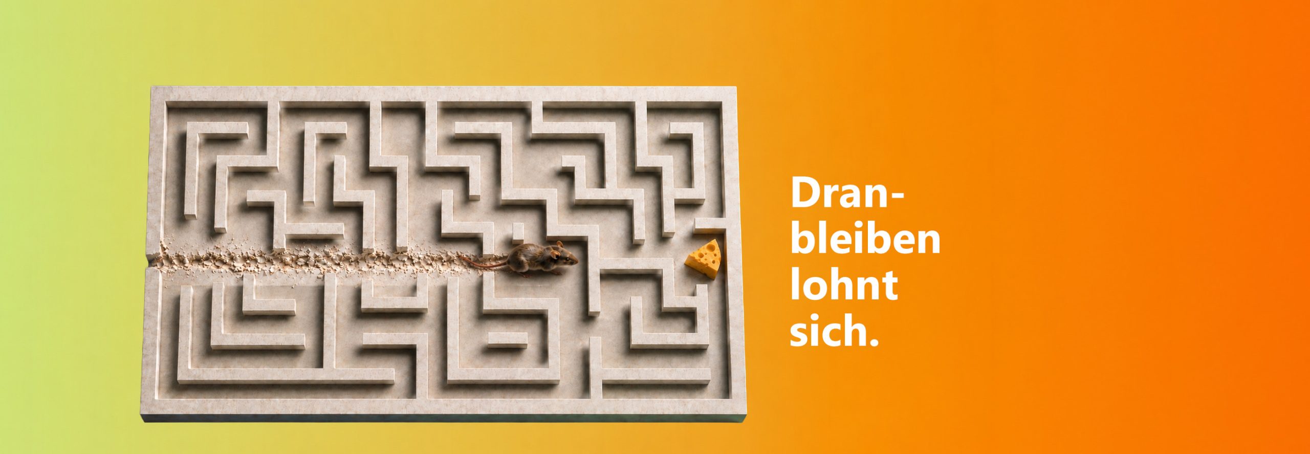 Holzlabyrinth mit Käse am Ziel, eine Maus frisst sich gerade durch das Holz in Richtung Käse